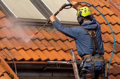 Démoussage et hydrofuge de toiture à Lempty